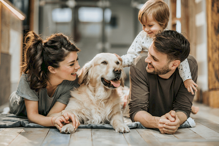 Vijf belangrijkste punten bij het kiezen van een zorgverzekering